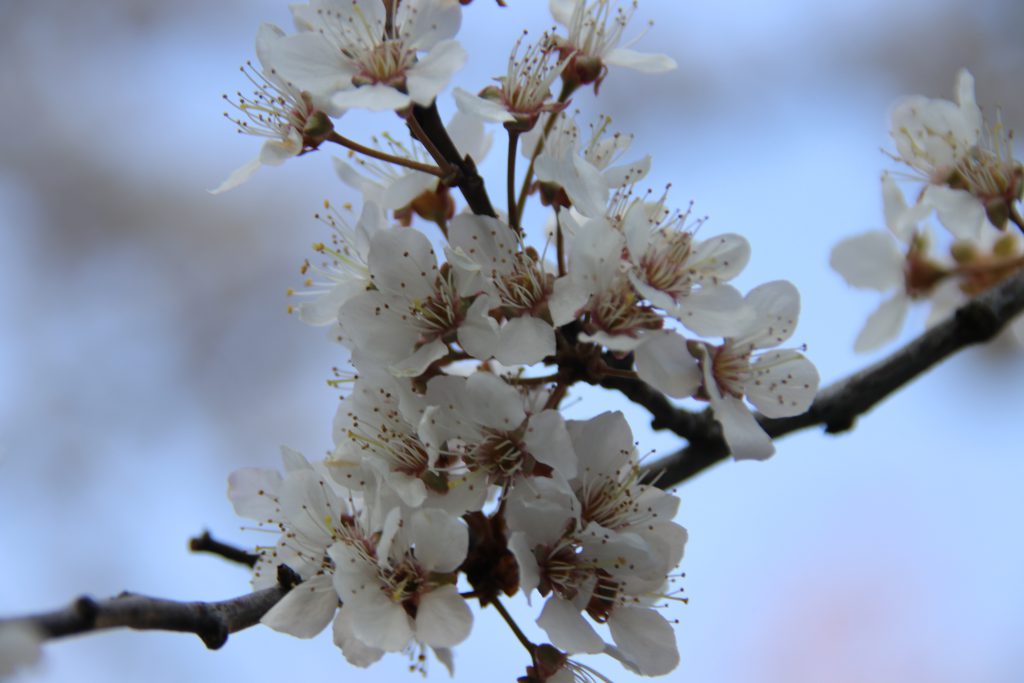 IMG_0012 IMG_0012